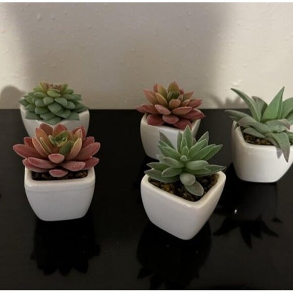 New 5pcs Artificial Succulent Plants in White Ceramic Pots, Fake Small Fake - Picture 2 of 2